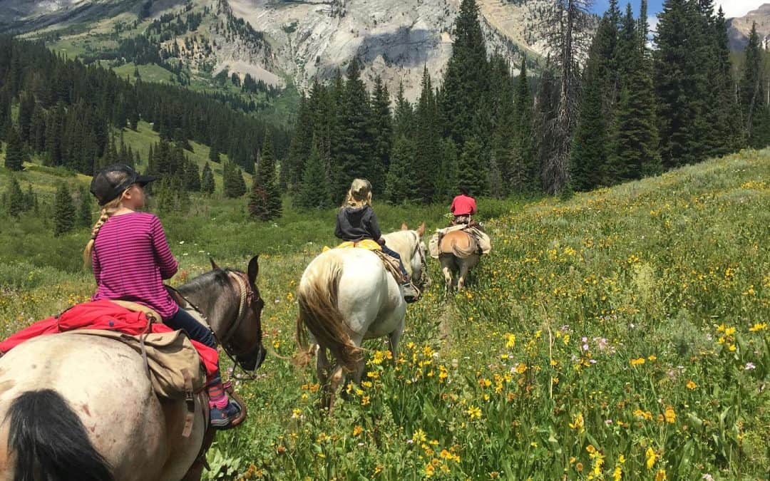 How To Find The Best Horseback Riding in Jackson Hole