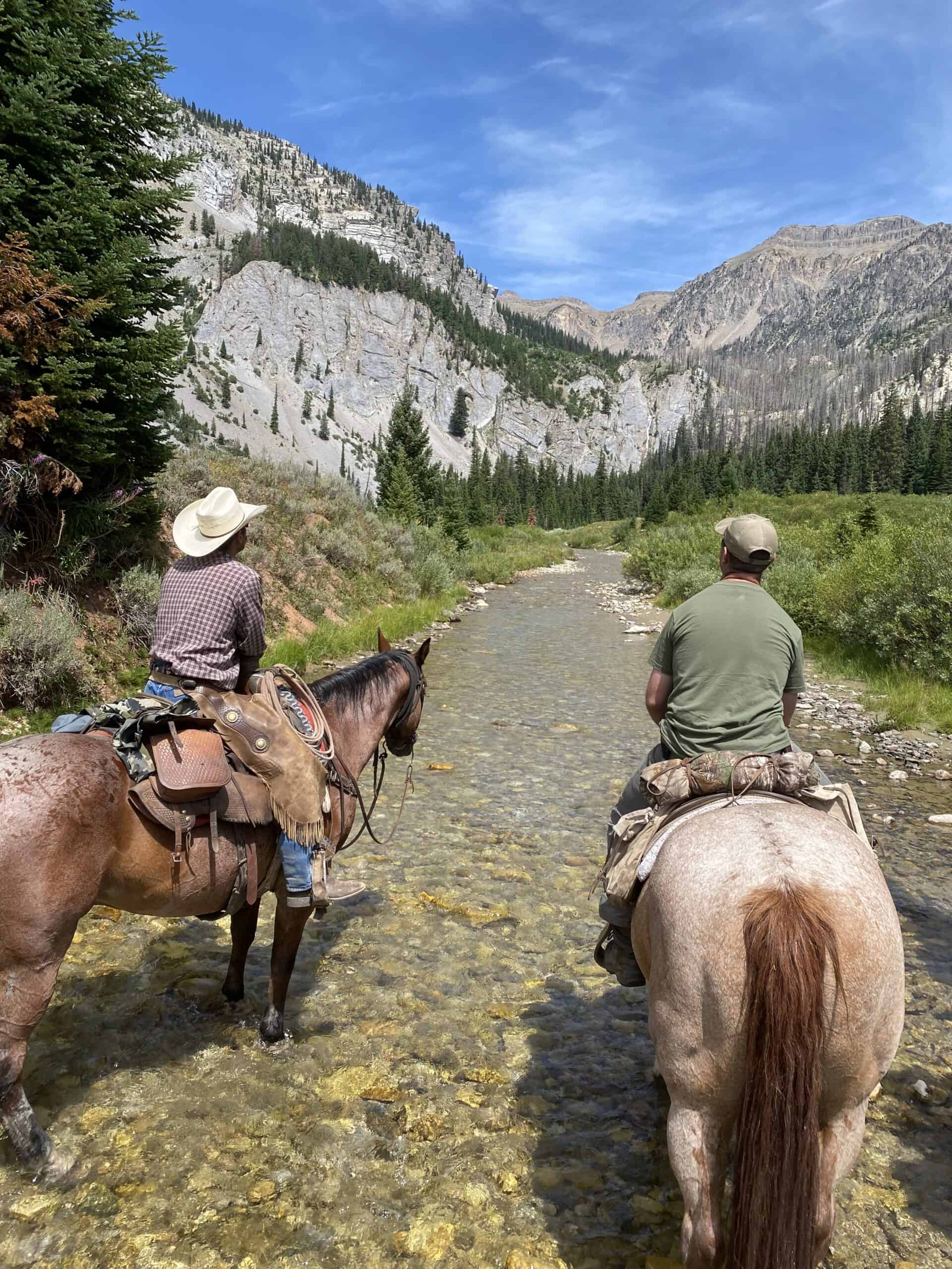 Jackson Hole WY Scenic Horseback Riding Trips